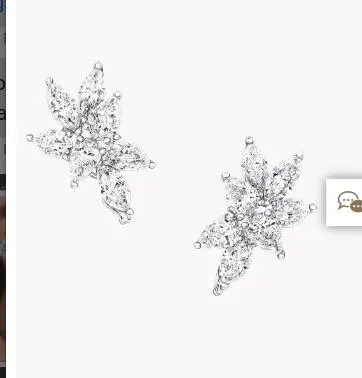 Customization of C earring
