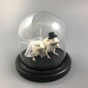 Taxidermy Wedding Mouse Couple