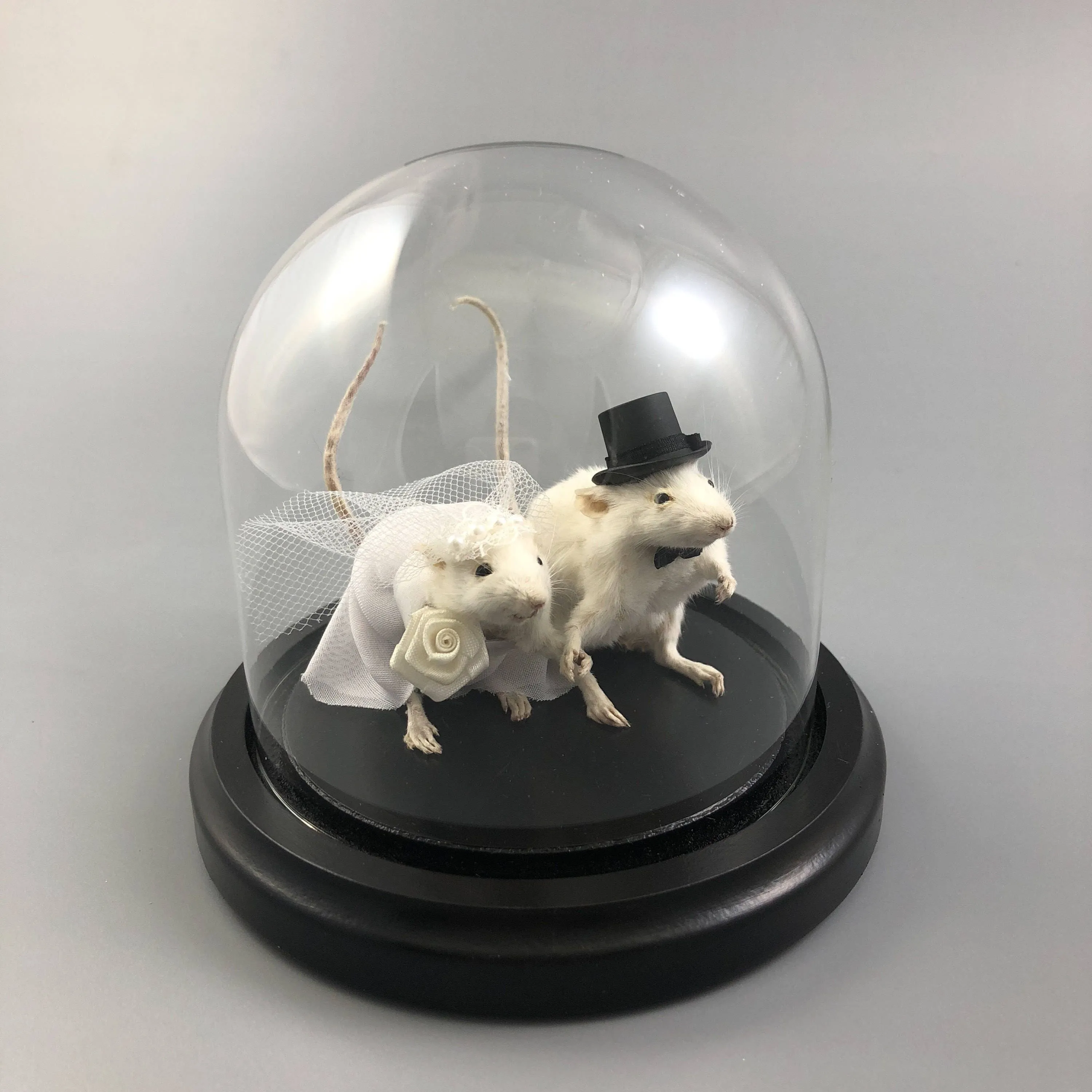 Taxidermy Wedding Mouse Couple