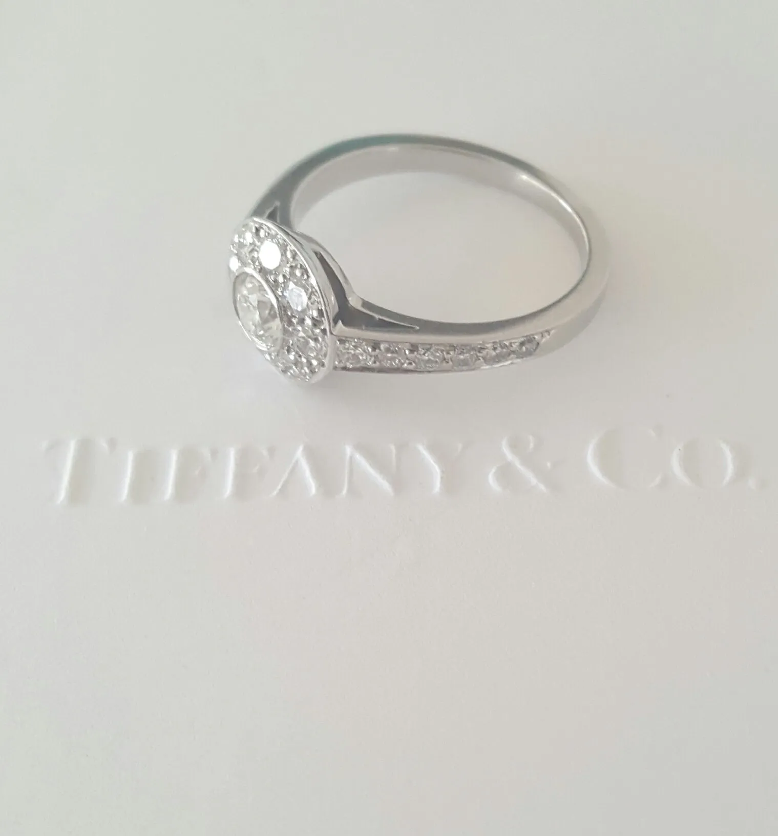 Tiffany & Co. 0.64tcw Diamond Single Circlet Engagement Ring in Platinum
