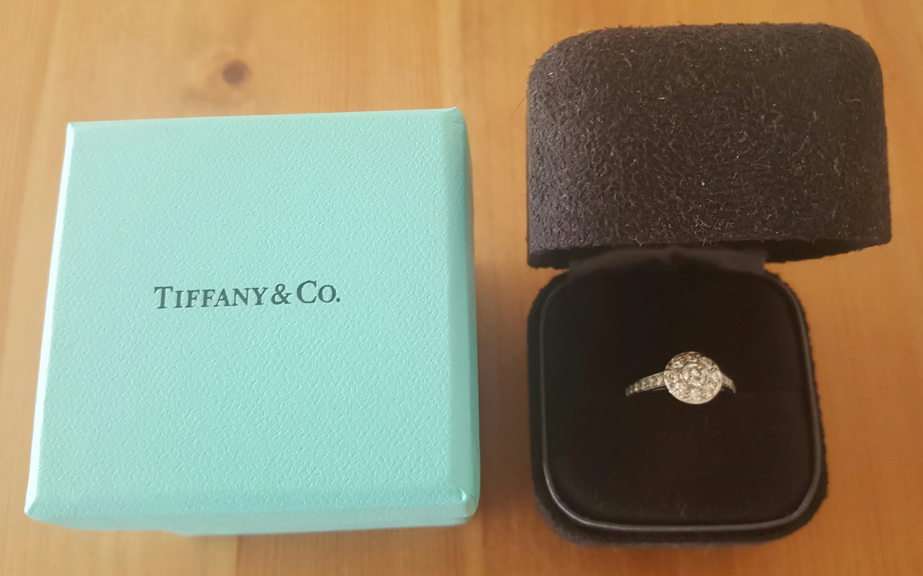Tiffany & Co. 0.64tcw Diamond Single Circlet Engagement Ring in Platinum